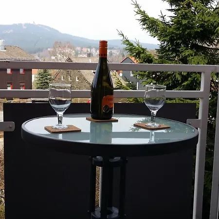 布劳恩拉格哥什公寓 *